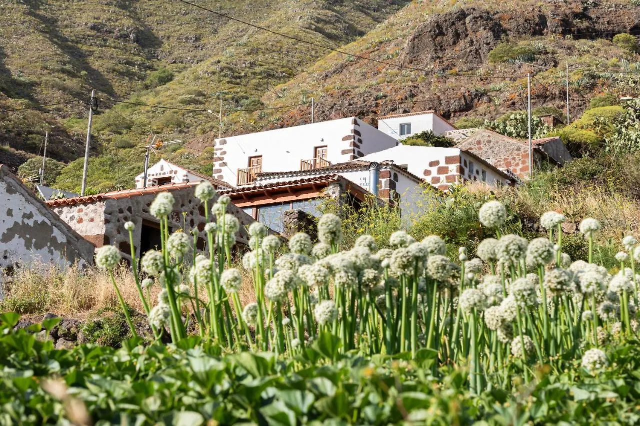 Home2Book Nature Carrizales And Masca House & Wifi Buenavista Del Norte