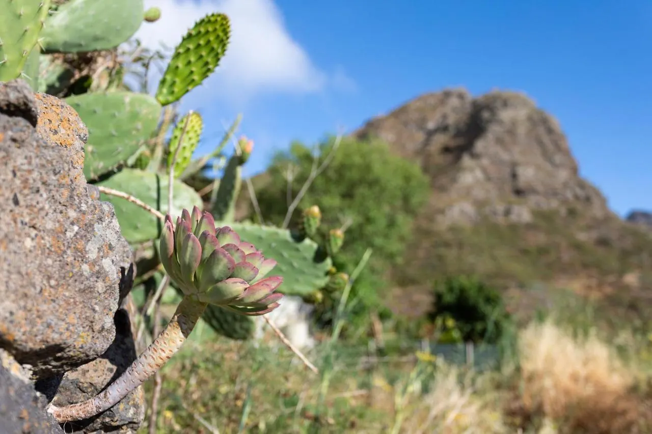 Home2Book Nature Carrizales And Masca House & Wifi Buenavista Del Norte