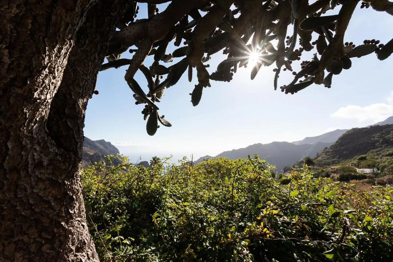 Home2Book Nature Carrizales And Masca House & Wifi Buenavista Del Norte Chalet